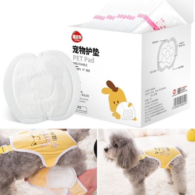 Dog Diaper Shorts Diapers Underwear