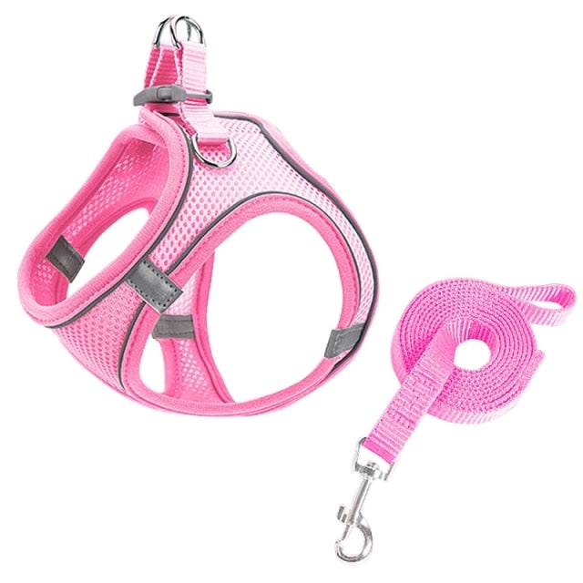 Lead Leash Adjustable Rope Belt