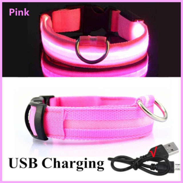 Led Charge Luminous Dog Collar