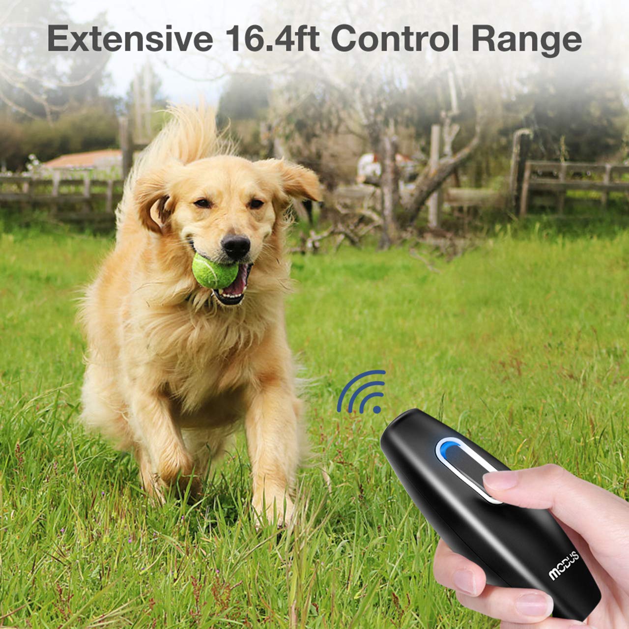 Anti Barking Device 2-in-1 Dog Training Tool