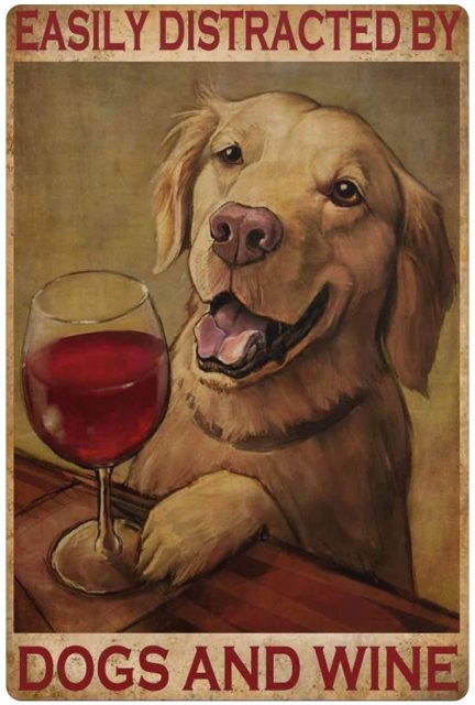 Dog Tin Sign Collie in The Snow Poster