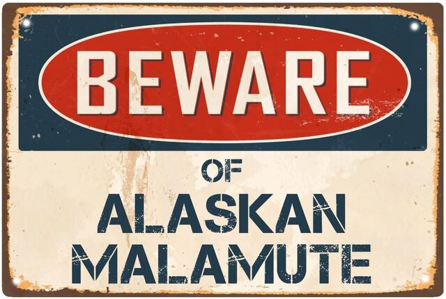 Metal Plates Sign Dog Akita Wall Posters