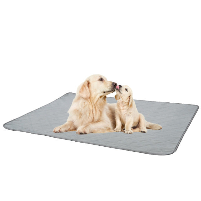 Dog Diaper Pee Pad Absorbent Training Mat