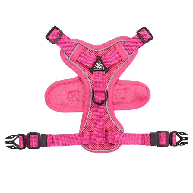 Walking Harness and Leash Set Adjustable