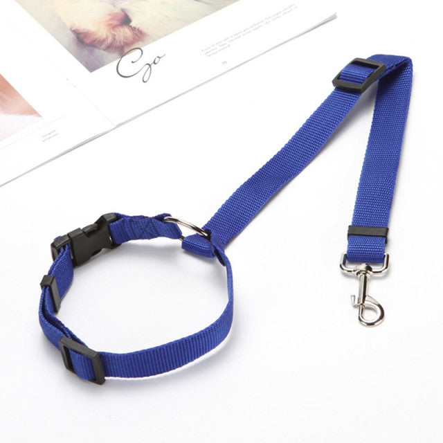 Universal Practical Dog Safety Belt