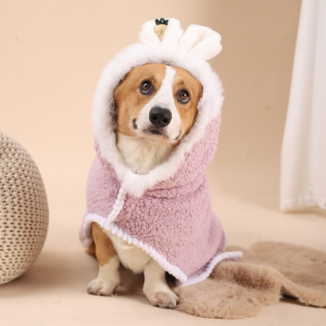 Winter Dog Clothes Trench