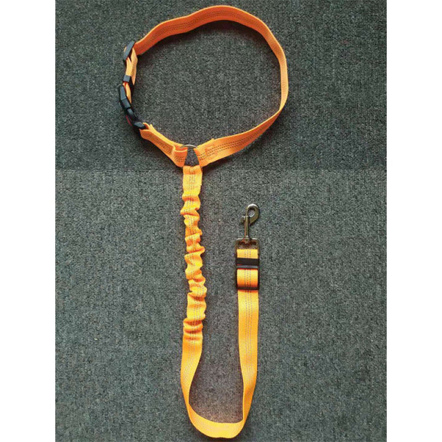 Dog Car Safety Belt Adjustable Vehicle Seat Belt