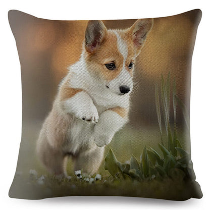 Cute Welsh Corgi Pembroke Dog Print Cushion Pillows Cases