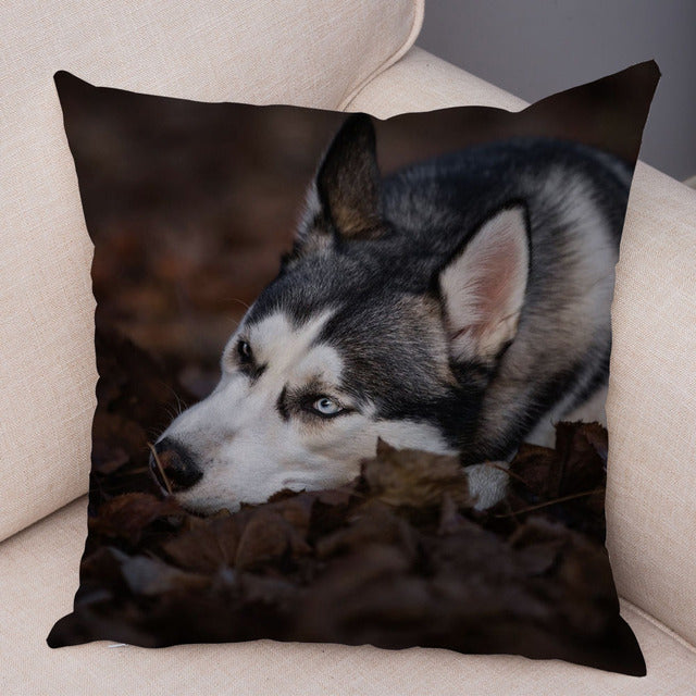 Husky Pillowcase Decor Dog Printed Super Soft
