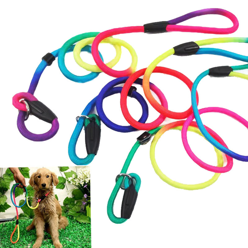 Rainbow Dog Nylon Rope Training Leash Slip