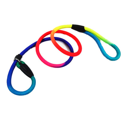 Rainbow Dog Nylon Rope Training Leash Slip