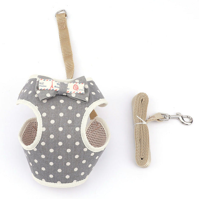 Small Dog Harness and Leash Set Vest