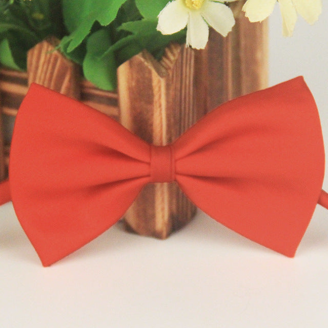 Collar Dog Bowknot Adjustable Necklace