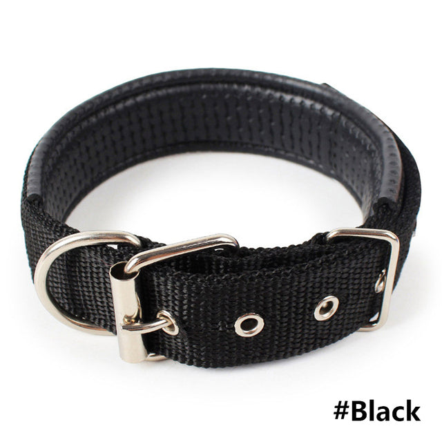 Solid Nylon Dog Collar Adjustable