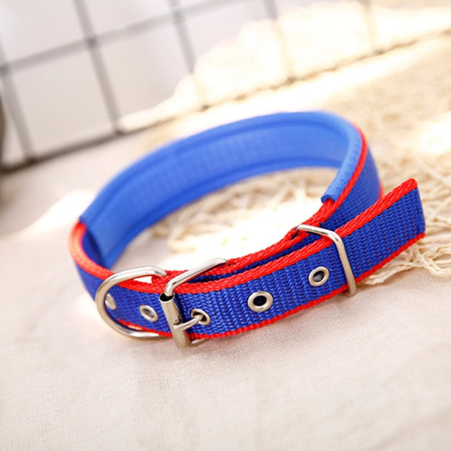 Adjustable Nylon Dog Collar