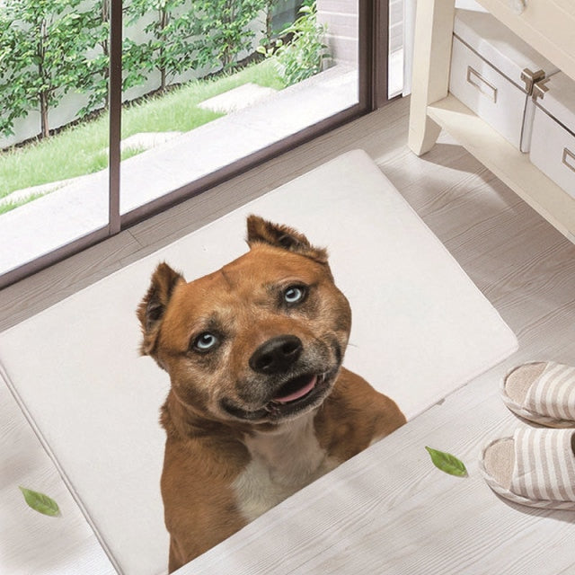 Mats for Entrance Door Dog character Carpets