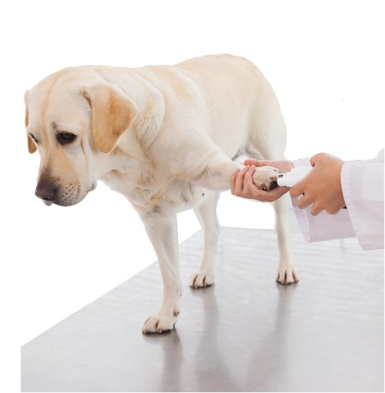 Revolutionize Your Pet Grooming Routine with the UEETEK Electric Pet Nail Grinder