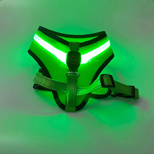 Illuminate Your Pet's Safety with the LED Luminous Dog Harness