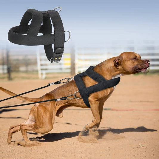 Unleash Your Dog’s Full Potential with the Adjustable Dog Weight Pulling Training Harness
