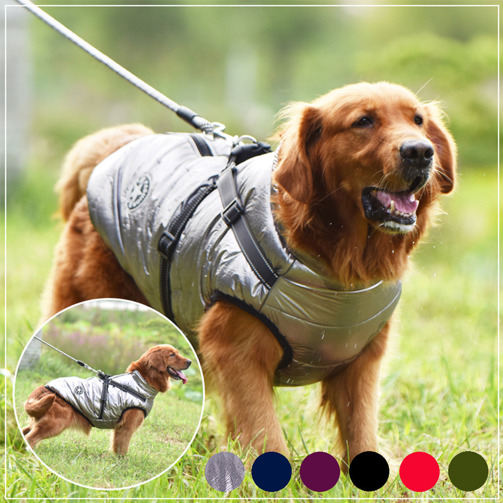 Embrace Winter in Style with Waterproof Dog Clothes Winter Dog Coat With Harness