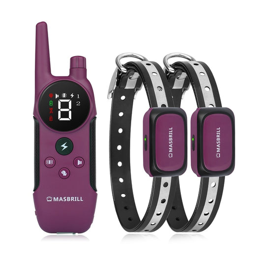 Transform Your Dog's Behavior with the Electric Dog Training Collar