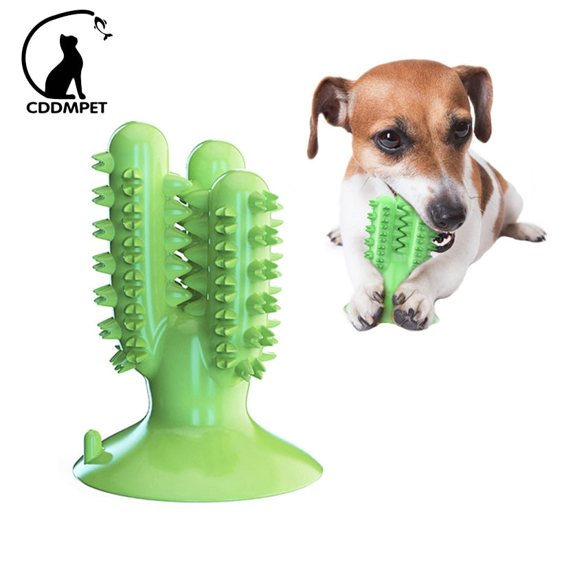 Best Dental Dog Chew Toys Rubber Healthy Fresh Teeth Cleaning Brush