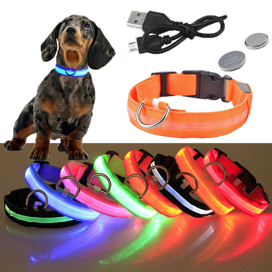 USB Rechargeable Pet Dog LED Glowing Collar