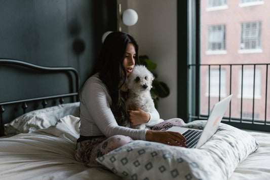 Are you looking for a calming dog bed?