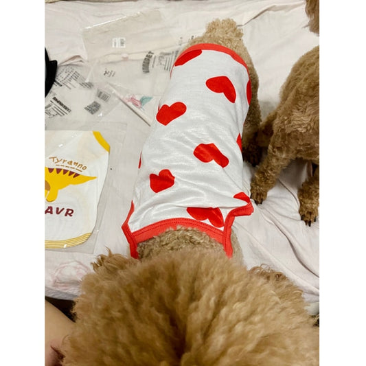 Elevate Your Dog's Summer Style with Our Popular Pet Dog Summer Vest!