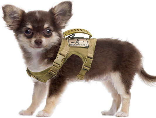 Elevate Your Chihuahua's Outdoor Adventures Tactical Vest Training Harness