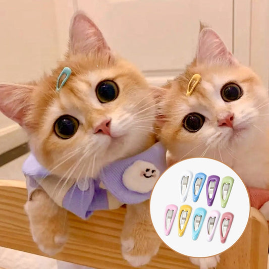 Elevate Your Pet's Style Game with Our Set of 20 Hair Accessories!