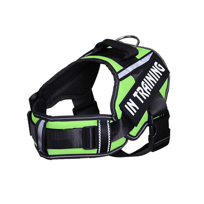 Reflective Dog Leash For Chest Harness Customization