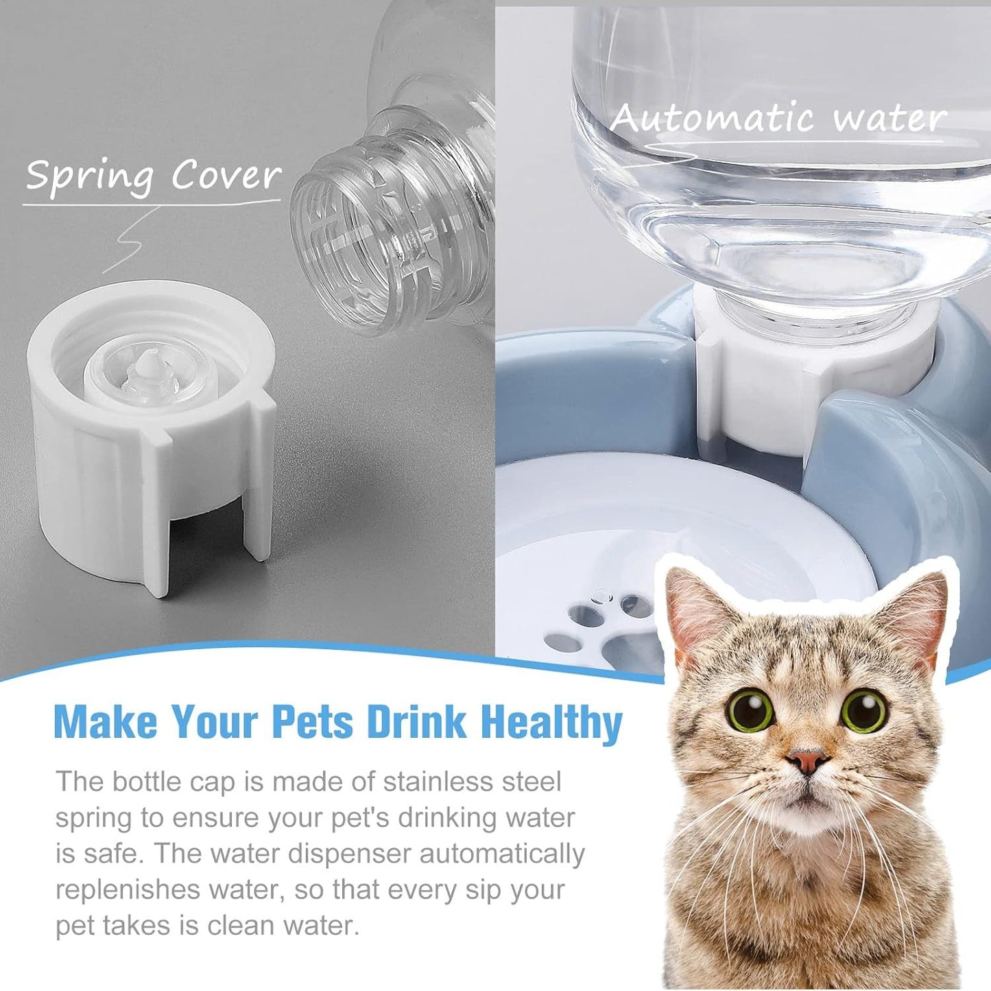 Dog Bowls Cat Food And Water Bowl Set With Water Dispenser