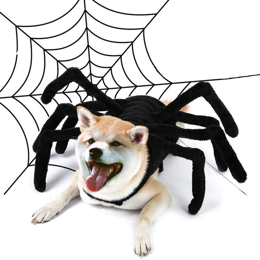 Pet Halloween Funny Spider Chest Back Creative