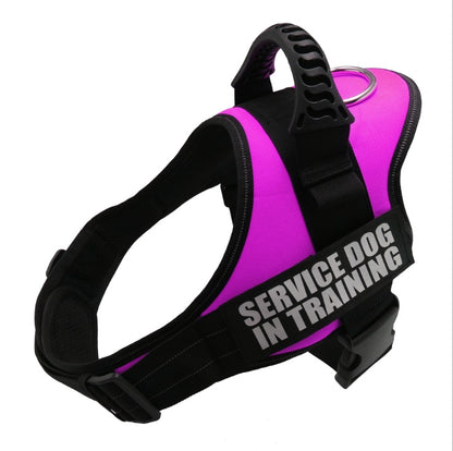 Explosion-proof Chest Harness Pet Leash