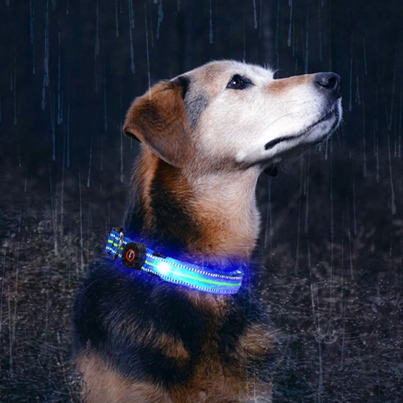 Fiber Optic Waterproof Magnetic Charging Pet Collar