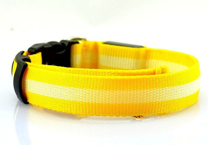 2.5cm stripe fiber LED luminous pet collar