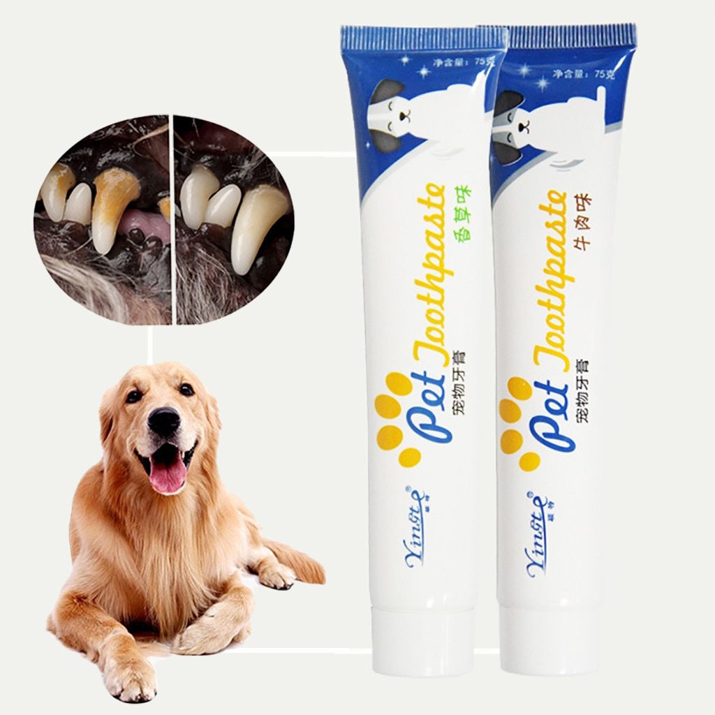 Dog toothpaste – Dog Bed & Supplies