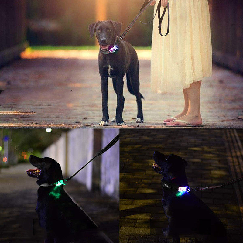 Pet LED luminous collar leash