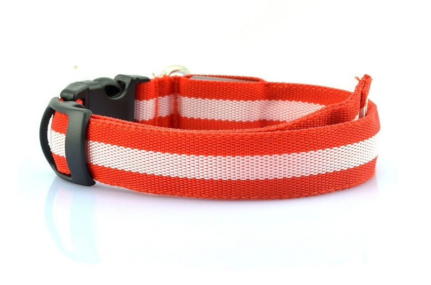 2.5cm stripe fiber LED luminous pet collar