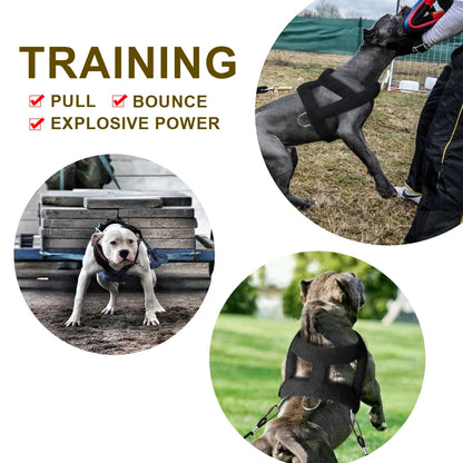 Dog Weight Pulling Training Harness Pulling Leash For Work Dogs