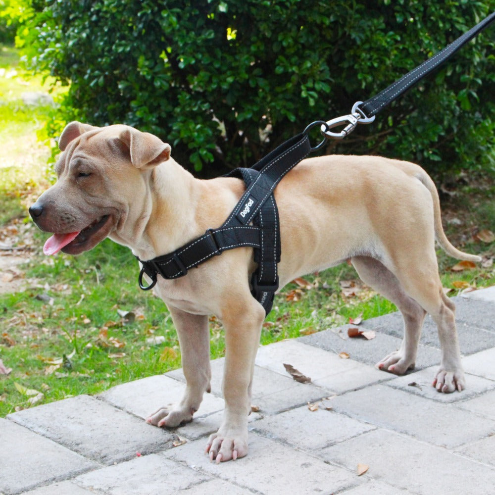 Pet outdoor chest harness traction rope