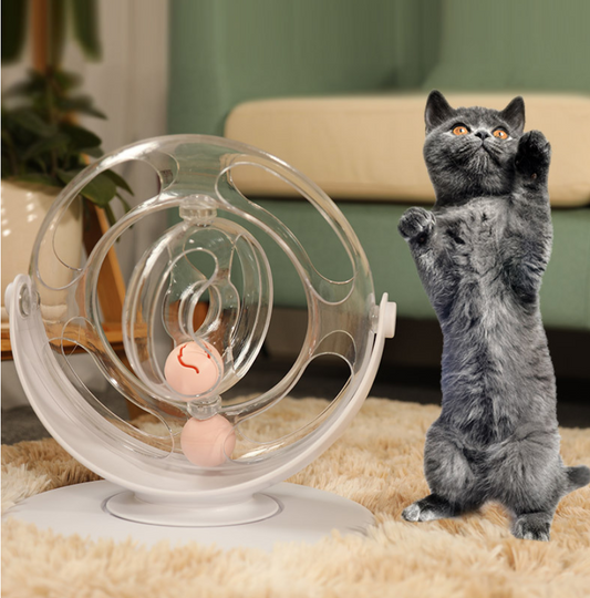 Cat turntable educational toys