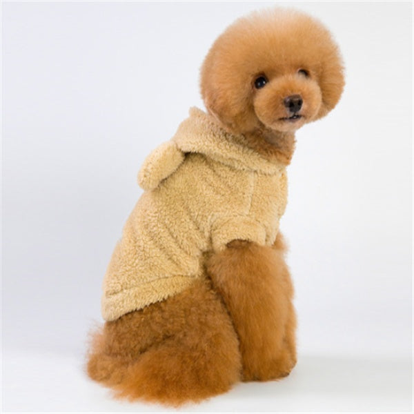 Dog clothes