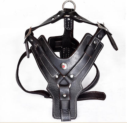 Genuine Leather Dog Harness