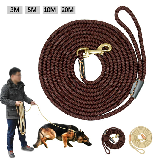Dog training belt