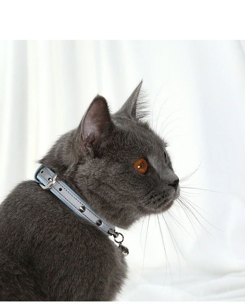Anti bite dog collar