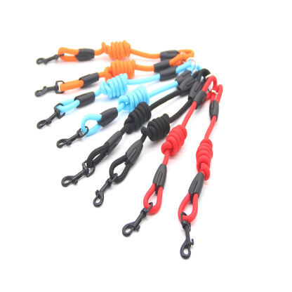 Double traction rope dog walking training
