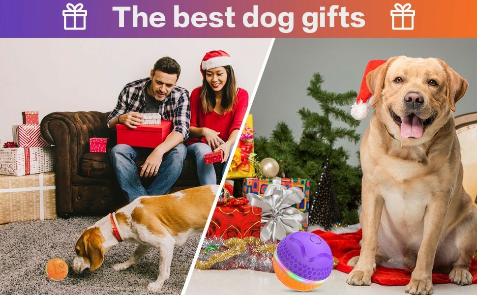 Interactive Dog Toys Ball, Automatic Rolling Toy, Lively Pet Ball