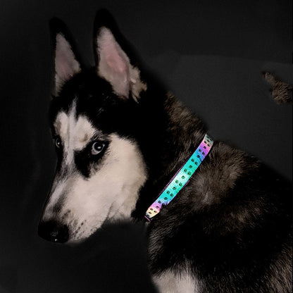 Holographic reflective dog leash